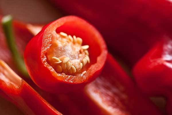 red bell pepper for dogs 