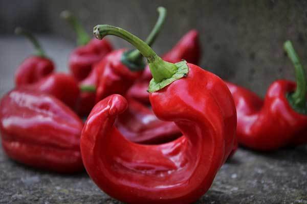 sweet red peppers