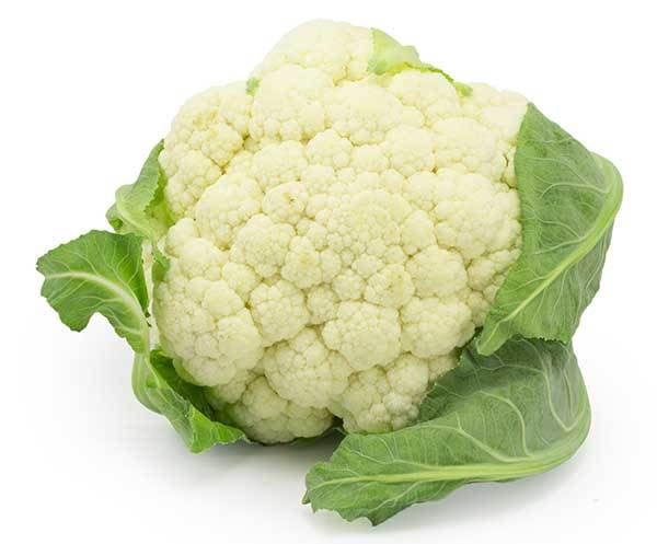 White Cauliflower for Dogs