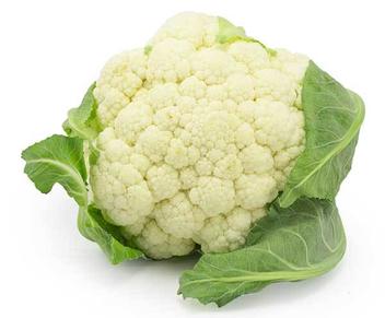 can diabetic dogs eat cauliflower