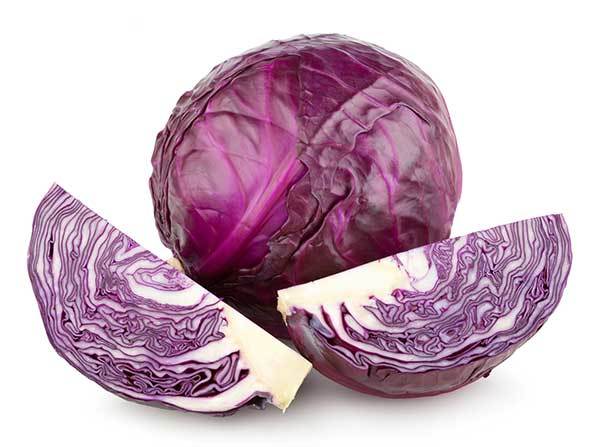 red cabbage for dogs