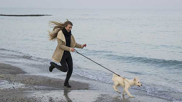 dog with her owner running at the beach