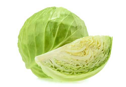 Fresh Cabbage