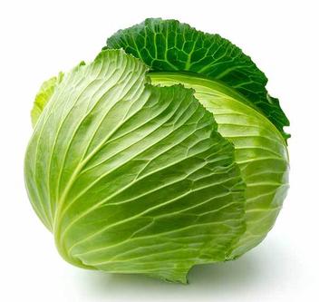 can dogs eat cabbage safely