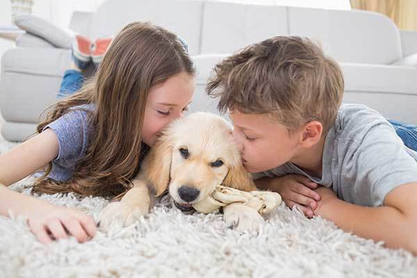 two kids kissing a dog