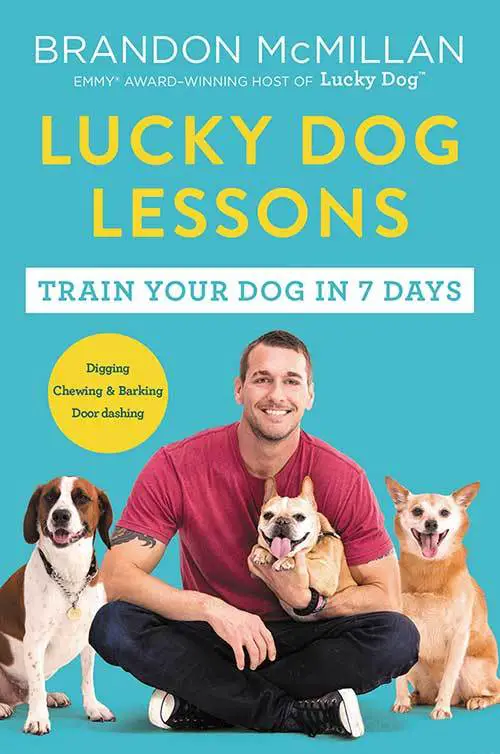Train Your Dog in 7 Days