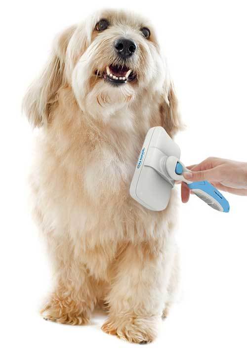 slicker brush for dogs