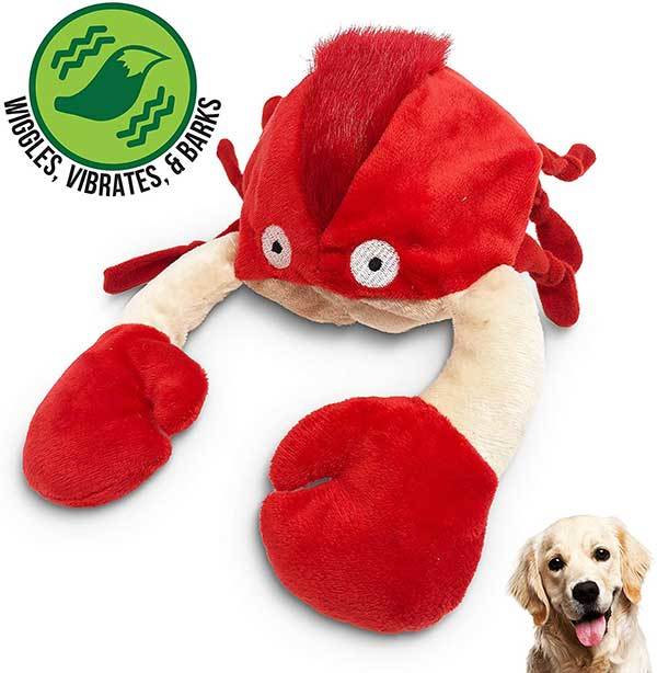 The 14 Best Moving Dog Toys (For Bored & Energetic Dogs)