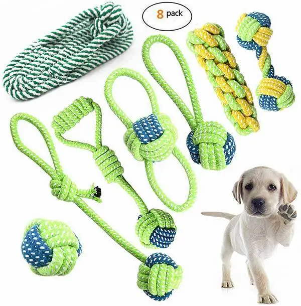 The 14 Best Moving Dog Toys (For Bored & Energetic Dogs)