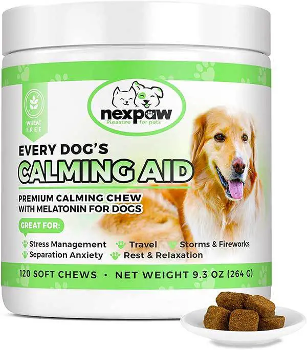 The 18 Best Calming Dog Treats for Stress and Anxiety Relief