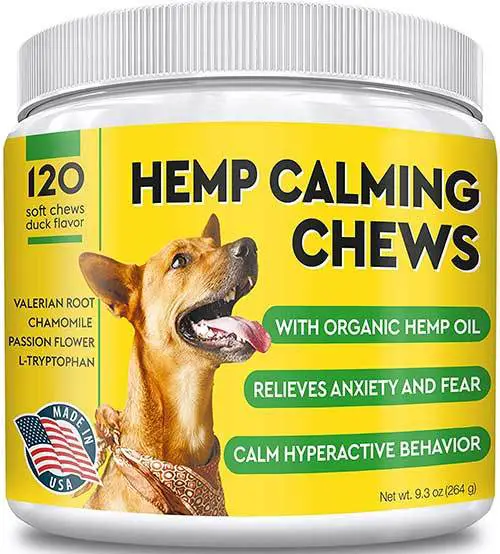 The 18 Best Calming Dog Treats for Stress and Anxiety Relief