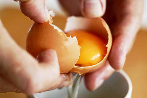 can i feed my dog raw eggs everyday?