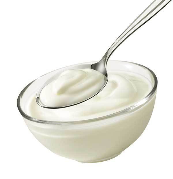 greek yogurt for dog upset stomach?