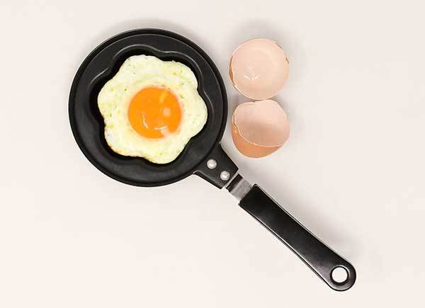 Fried eggs for dogs