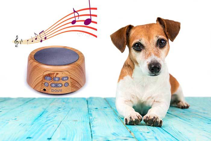 best white noise machine for dogs