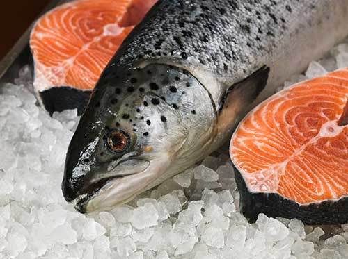 fresh salmon for dogs