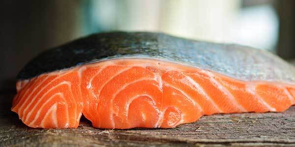 is salmon good for dogs?