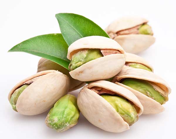 Are Pistachios Safe for Dogs?