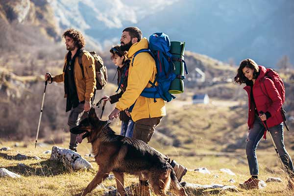 Group of People Hiking with German Shepherd