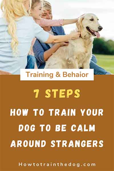 How To Train Your Dog To Be Calm Around Strangers