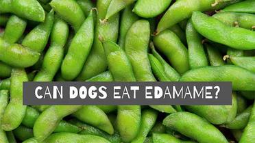 are edamame pods safe for dogs