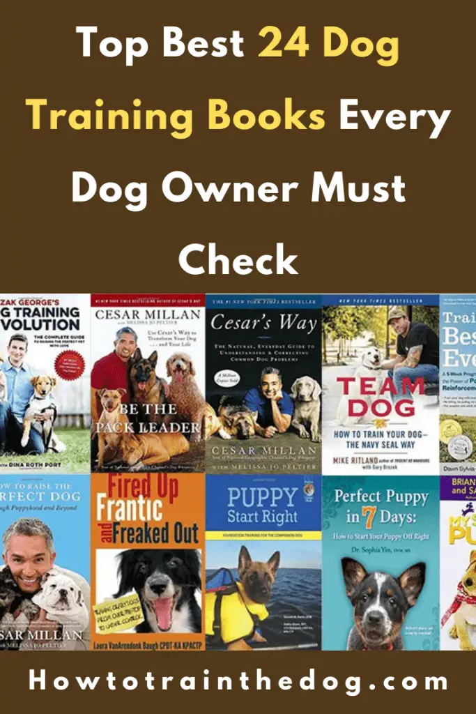 A Guide To Some Of Best Dog Training Books Available Today (Top 24)
