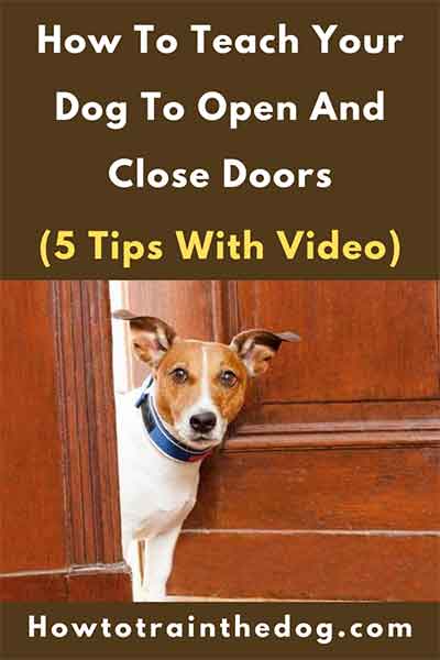 How To Teach Your Dog To Open And Close Doors (5 Tips With Video)