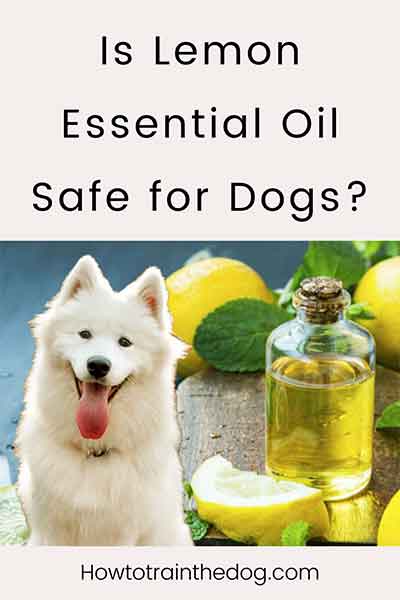 Is Lemon Essential Oil Safe for Dogs? (Benefits & Risks Explained)