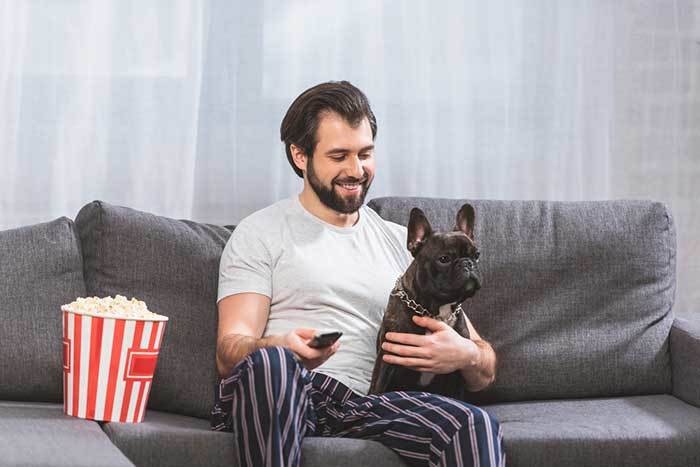 french bulldog watching tv with his owner