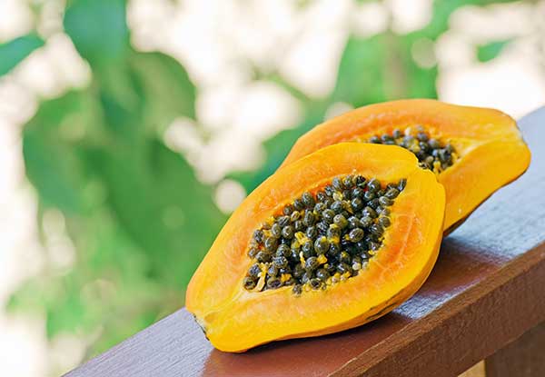 How much papaya can I give my dog?