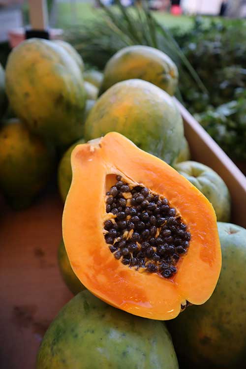 Can Dogs Eat All Papaya Parts?