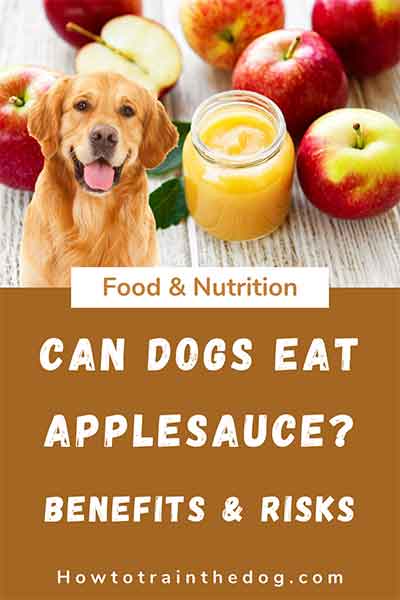 Can Dogs Eat Applesauce? Here's Everything You Need to Know