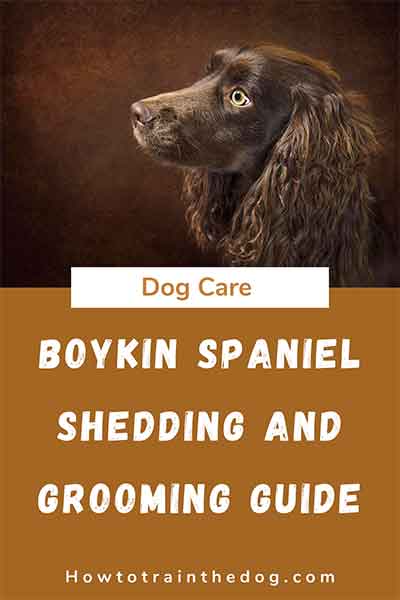 Boykin Spaniel Grooming Guide Pin 