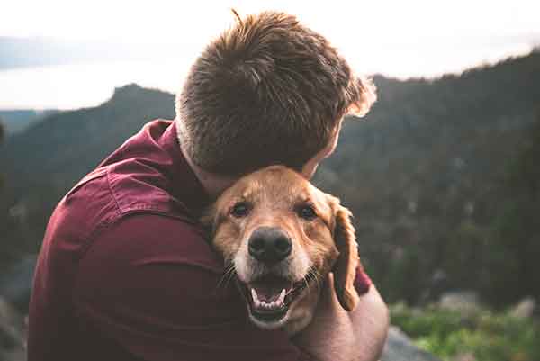 Happy Dog With His Owner