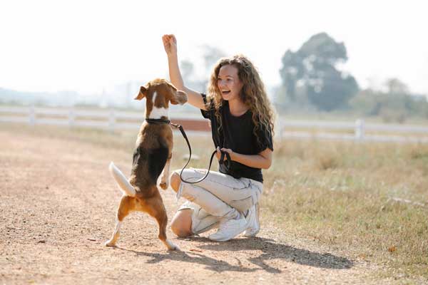 How to Deal with Training Difficulties in Certain Dog Breeds