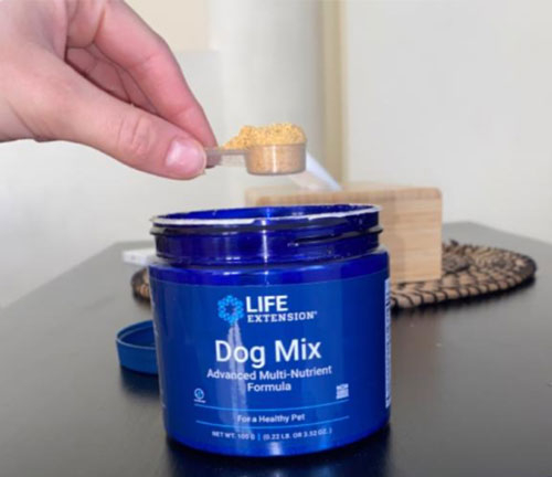 Dog Mix Advanced Formula with Vitamins