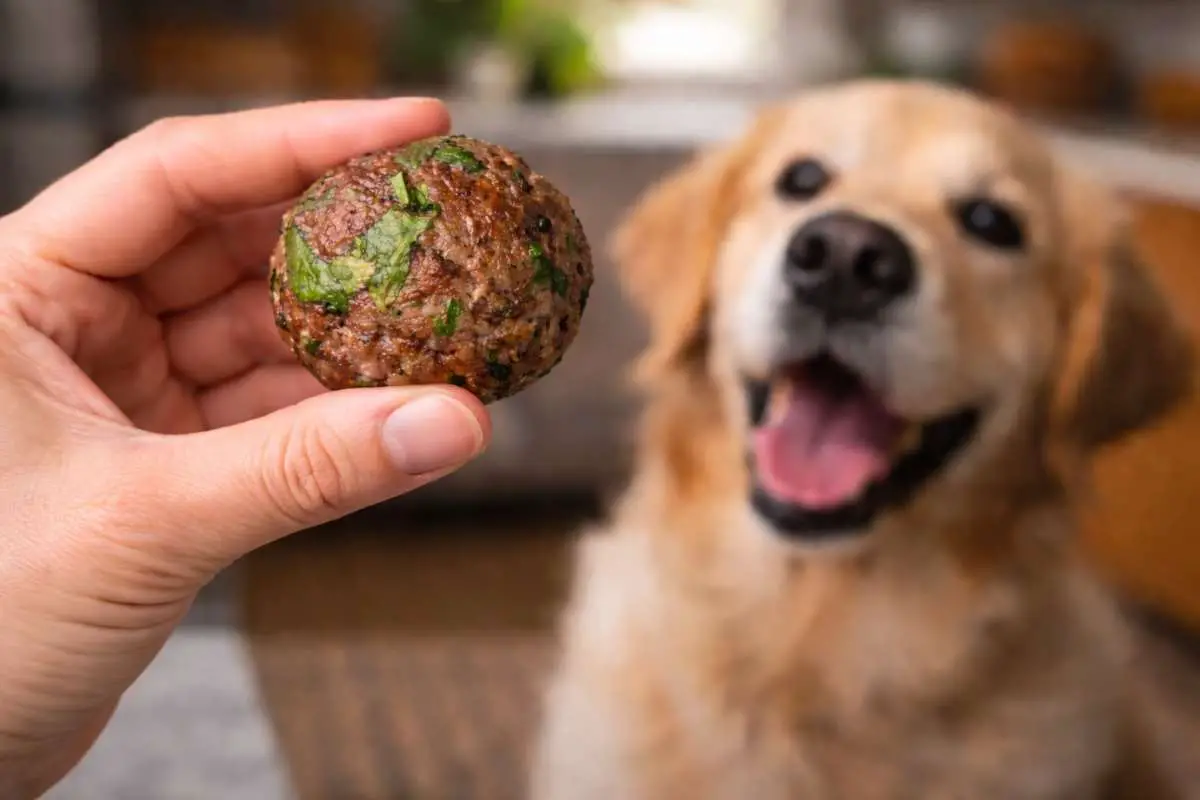Detox Meatballs for Dogs
